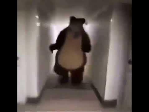 Bear chasing person
