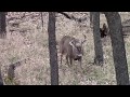 12 point footage from Kansas, November 17, 2018