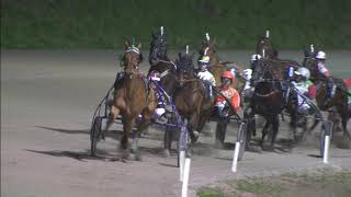 Vidéo de la course PMU LE CHEVAL D'OR - HET GOUDEN PAARD