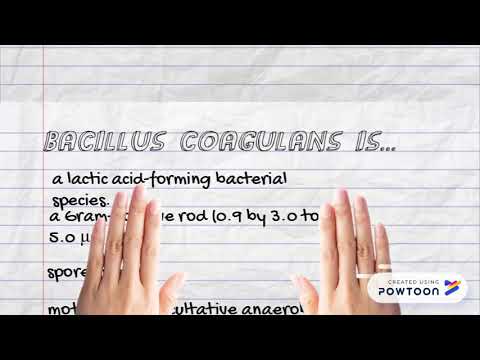 Video: Bacillus Coagulans GBI-30 (BC30) Förbättrar Index För Clostridium Difficile-Inducerad Kolit Hos Möss