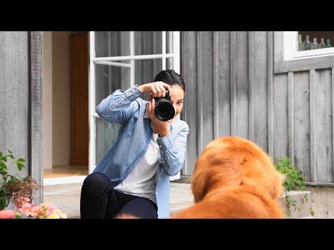 Real-time Eye AF for Animals | Flexible Composition | Sony | α