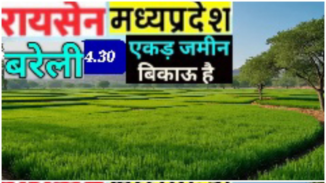 रायसेन बरेली कोटपार में 4.3 एकड़ जमीन बिकाऊ/4.3 acres of land for sale in Raisen Bareilly Kotpar