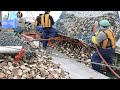 Fishermen catch hundreds of tons of scallops in an amazing way || The most skilled fisherman