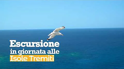 Quanto costa il biglietto per le Isole Tremiti da Termoli?