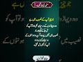 کامیابی کے راز – بہترین باتیں جو ہر کسی کو سننی چاہئی.   MotivationalVideo#UrduQuotes#shortvideo
