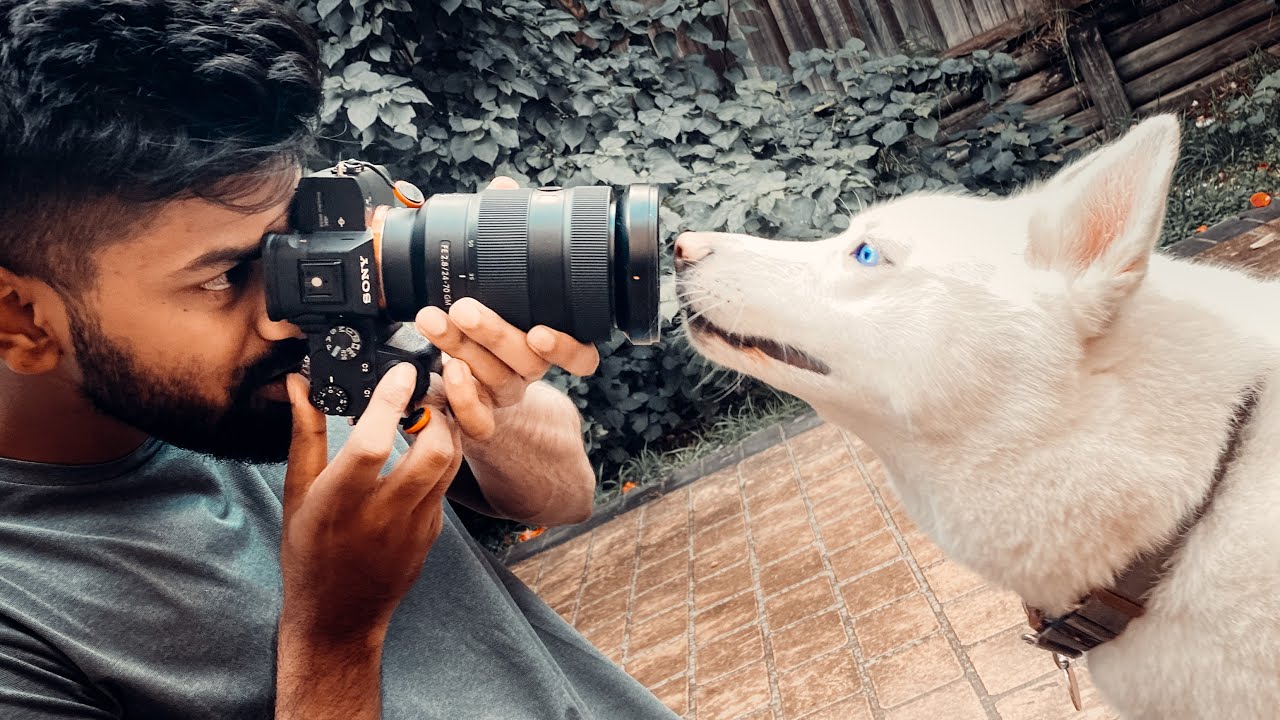 Creative PET Photography at HOME! YouTube