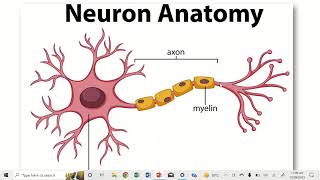 CNS Online Synchronous Session