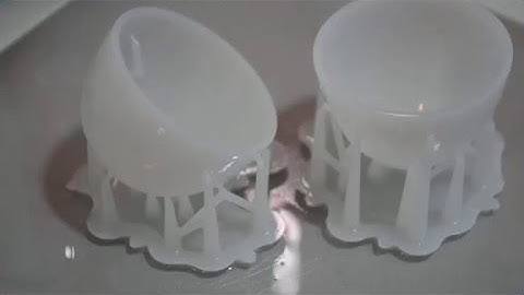 Egg_Bottom_Original Formlabs Form2 3D Printer