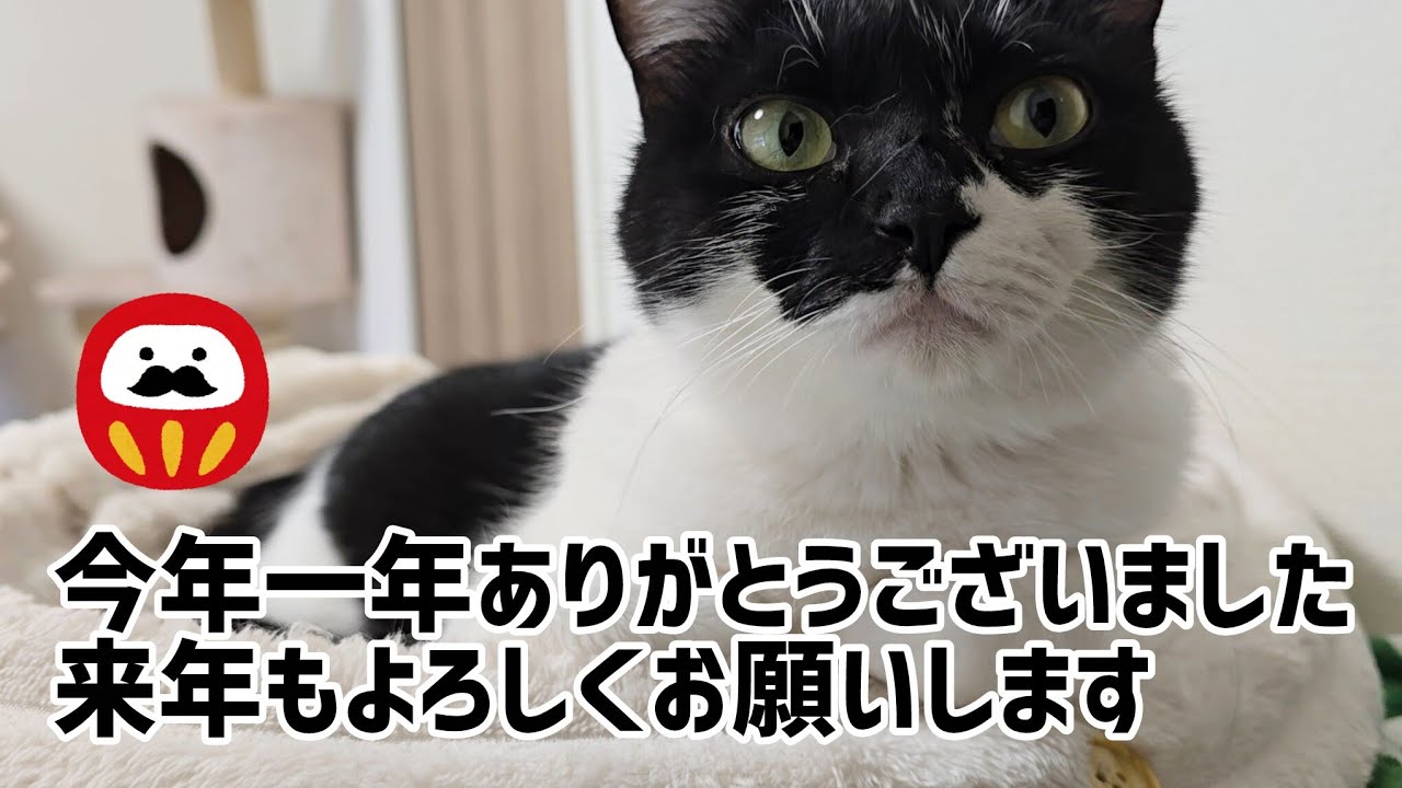 【今年最後の動画】良いお年を〜！