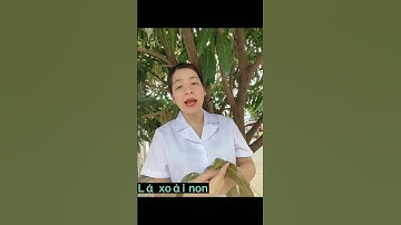 Công dụng lá xoài non #shorts #thanhdongvlog