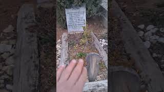 bediuzzaman hz talebesi hayati abi