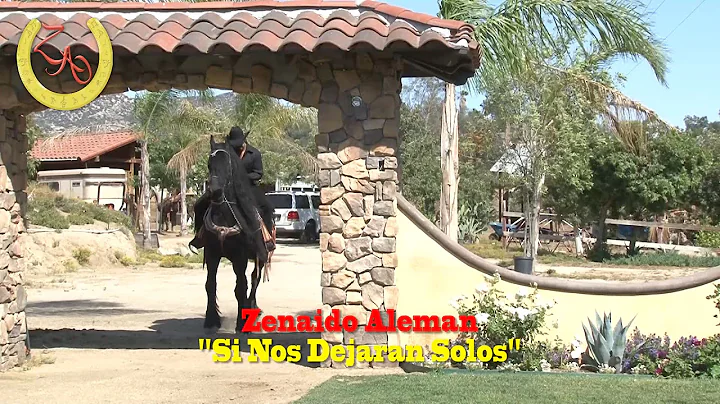 ZENAIDO ALEMAN "SI NOS DEJARAN SOLOS"