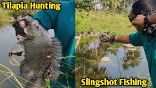 Tilapia Hunting in Clean Water with Slingshot