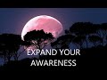 Jared Rand's Global Guided Meditation Call Replay (8/16/19) | Young Lightworkers Channel