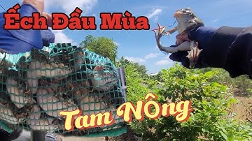 Câu Nhấp Câu Nhóng  Ếch Đầu Mùa Ở Gần Tràm Chim  Đồng Tháp. Phần 1.. Trần Tài Vlog