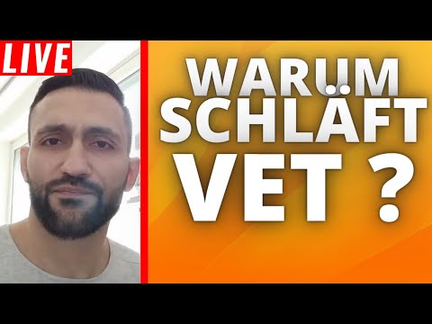 Warum explodiert VeChain (VET) nicht?  | Stream Highlights