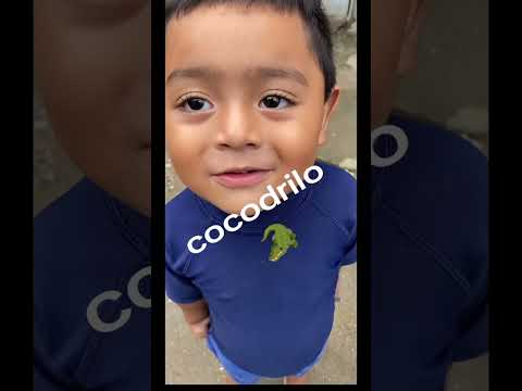 Mi sobrino no