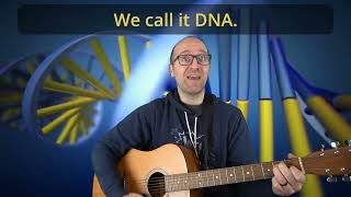 آهنگ DNA