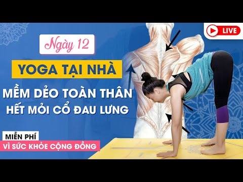 Yoga Trực Tuyến Tại Nhà_ Bài 12  Mềm dẻo toàn thân - hết mỏi cổ đau lưng  Nguyễn Hiếu Yoga