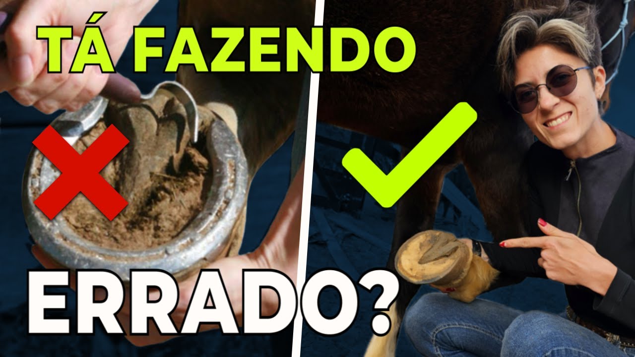 Como LIMPAR o CASCO do CAVALO do JEITO CERTO (Rápido, Seguro e Sem Erros!)