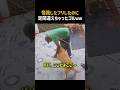 怪我したフリしたのに足間違えちゃったゴルｗｗ