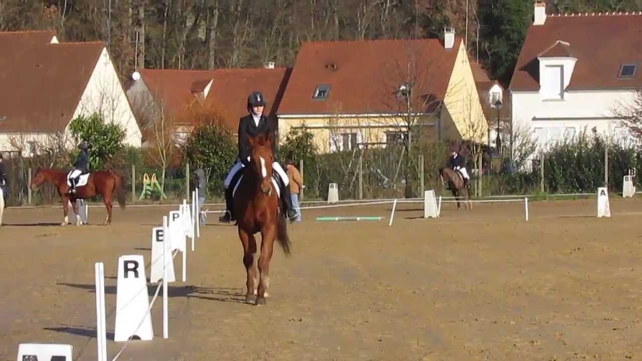 Concour dressage club 3 Grand Prix Nator YouTube