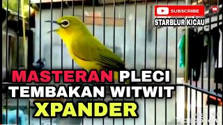 MASTERAN PLECI TEMBAKAN WITWIT X-PANDER