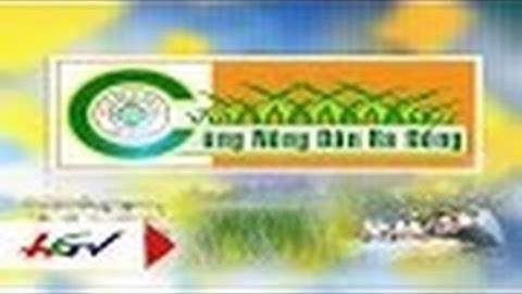 Những giải pháp diệt ốc bươu vàng, lúa cỏ và cỏ dại đầu vụ Đông Xuân | HGTV