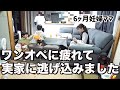 【ナイトルーティン】ワンオペに疲れて実家に逃げ込んだ日の夜【6ヶ月妊婦ママ】
