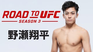 ROAD TO UFC シーズン3：野瀬翔平🗣️「3度目の正直で優勝を勝ち取ります！」｜宇野薫が直撃インタビュー！