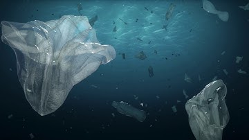 Ocean acidification: how society is driving this environmental change, and how we can respond to it