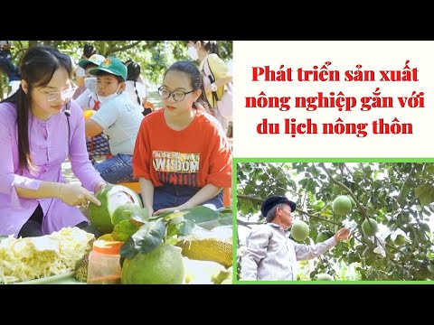 Video Quảng Ngãi: Phát triển sản xuất nông nghiệp gắn với du... - youtube