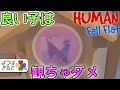 R18!?小屋の中で行われていたのは?www【ヒューマンフォールフラット】
