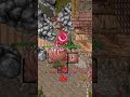 أكبر غلطة يسويها أي لاعب جديد في Tibia shorts