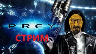 ПРОХОДИМ ИГРУ PREY - ОБЩЕНИЕ С ЧАТОМ