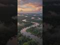 Amazon forest danger seen #amazing #ai #art #brazil #rain #forest #fact #ai #trending #video #viral