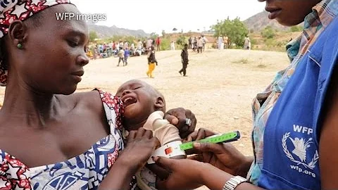 Nigeria's displaced farmers called to return home