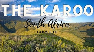 Our Farm in South Africa | Travel to South Africa |