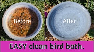 How to clean a birdbath the EASY way.