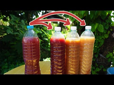 สุดแปลก ! จลินทรีย์สังเคราะห์แสงจากแดงเป็นขาว