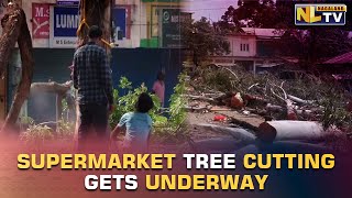 FOLLOWING DC ORDER TREE CUTTING GETS UNDERWAY IN DIMAPUR’S SUPERMARKET