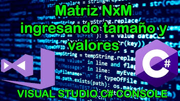 Matriz NxM  en visual studio C# console