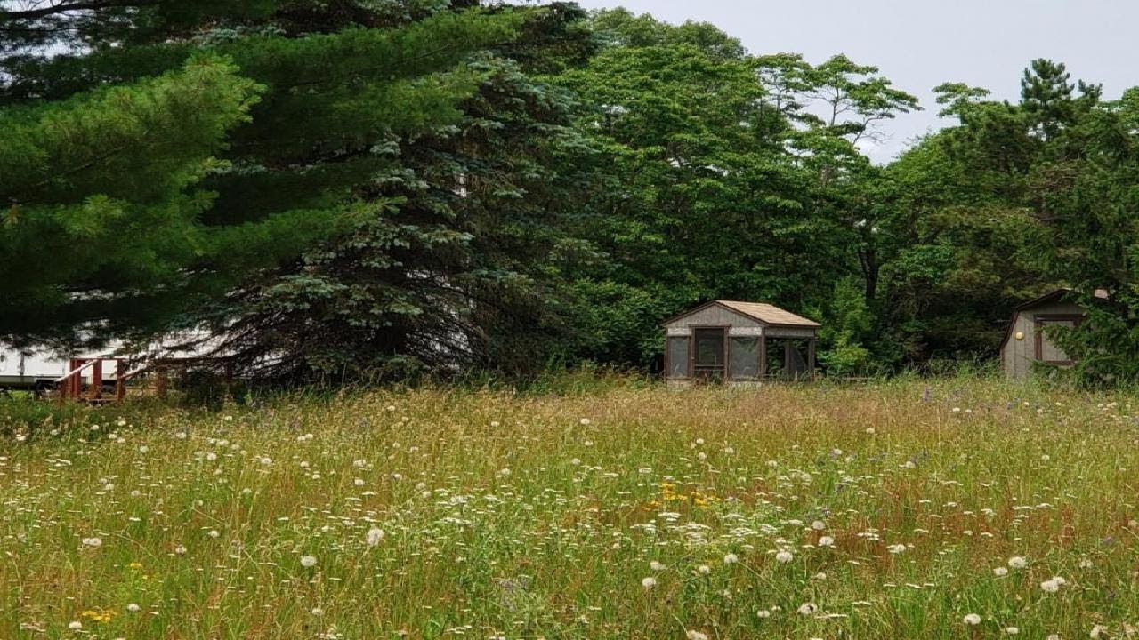 597 W 7 Mile Road, White Cloud, MI Presented by Nancy Rottier.