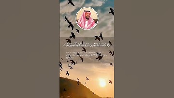 تلاوة خاشعة لـ بعض الآيات من سورة الأنبياء #أكرم_آل_حويس #اكسبلور