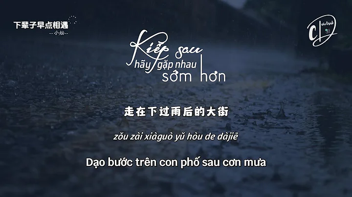 [Vietsub] Kiếp sau hãy gặp nhau sớm hơn (下輩子早點相遇) - Tiểu Xán (小燦) - Bản Nam - Hot Douyin - 天天要聞