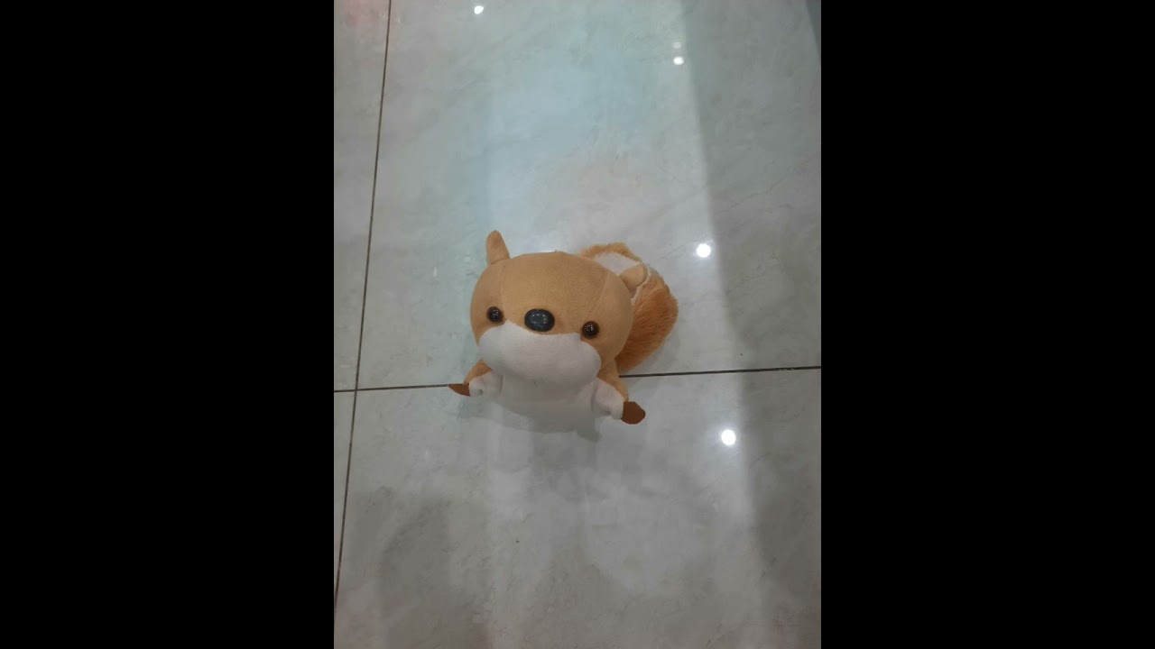 (sad squirrel -Violon meme)