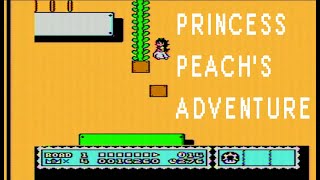 Princess Peach's Adventure, or Present Panic, NES Mario 3 ROM Hack
