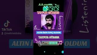 Tayfur Gürses - Altin İken Tunç Oldum - 2024 Resimi