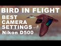 Nikon D500 Birds in Flight Camera Settings