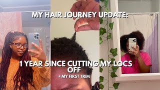 my hair journey update: YEAR 1 since cutting off my locs